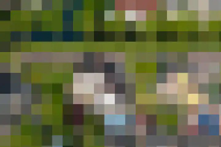 Beveland 3 Emmeloord thumbnail 71