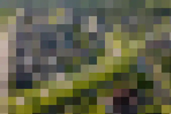 Beveland 3 Emmeloord thumbnail 72