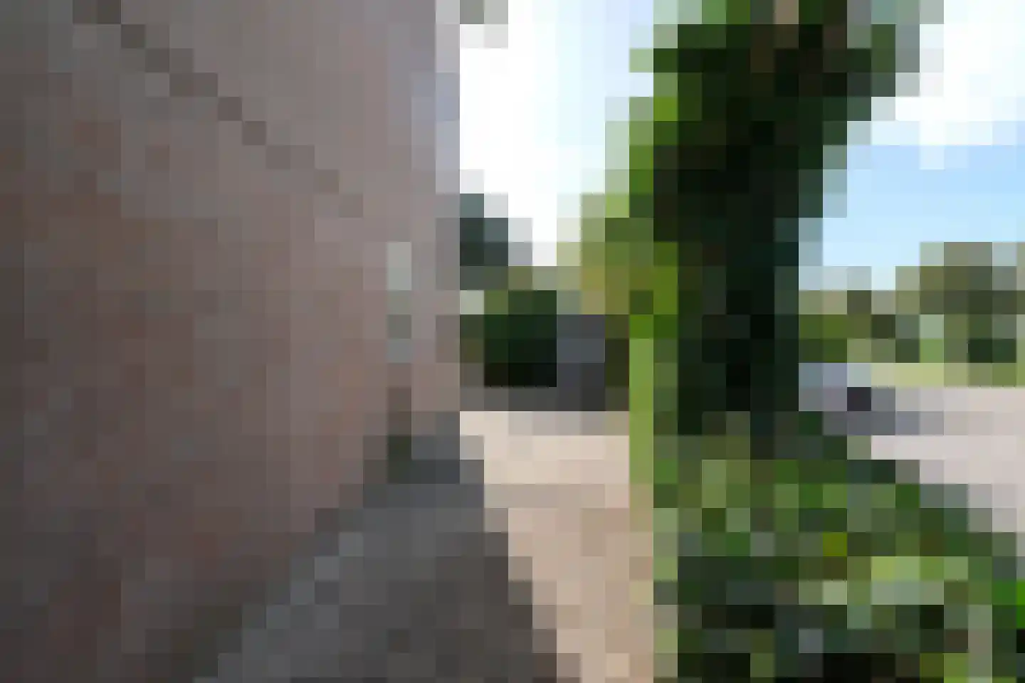 Beveland 67 Haarlem thumbnail 12