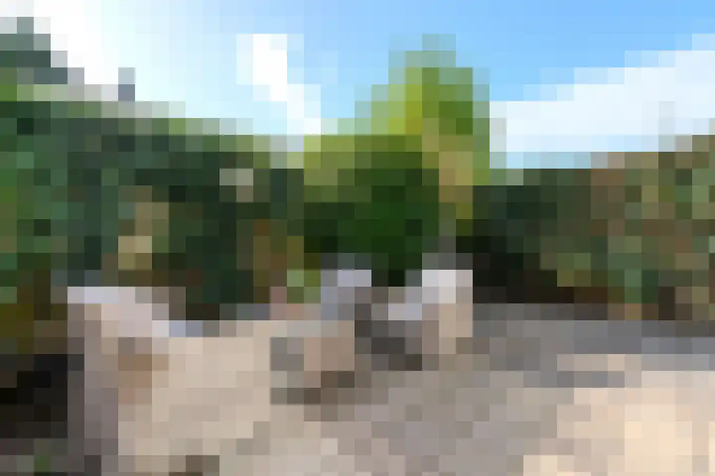 Beveland 67 Haarlem thumbnail 56