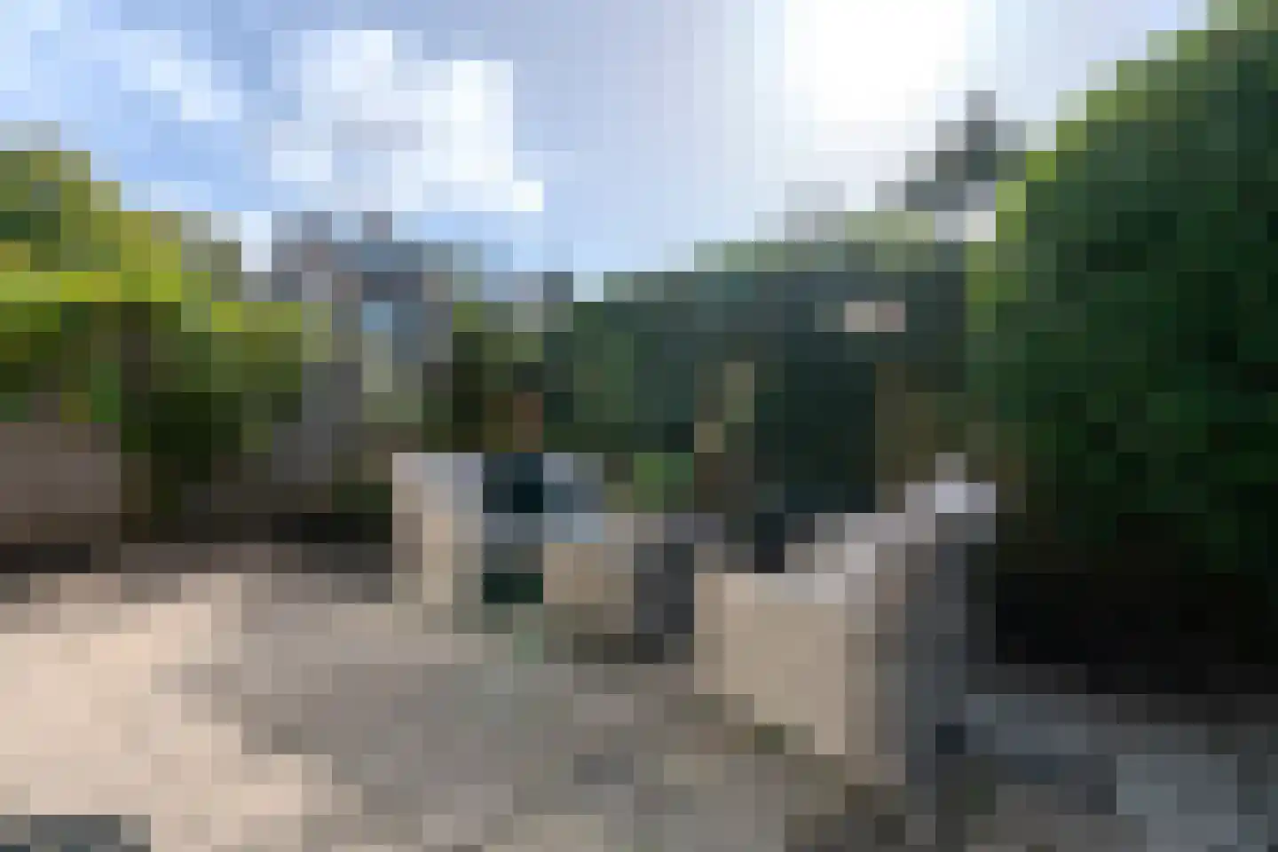Beveland 67 Haarlem thumbnail 59