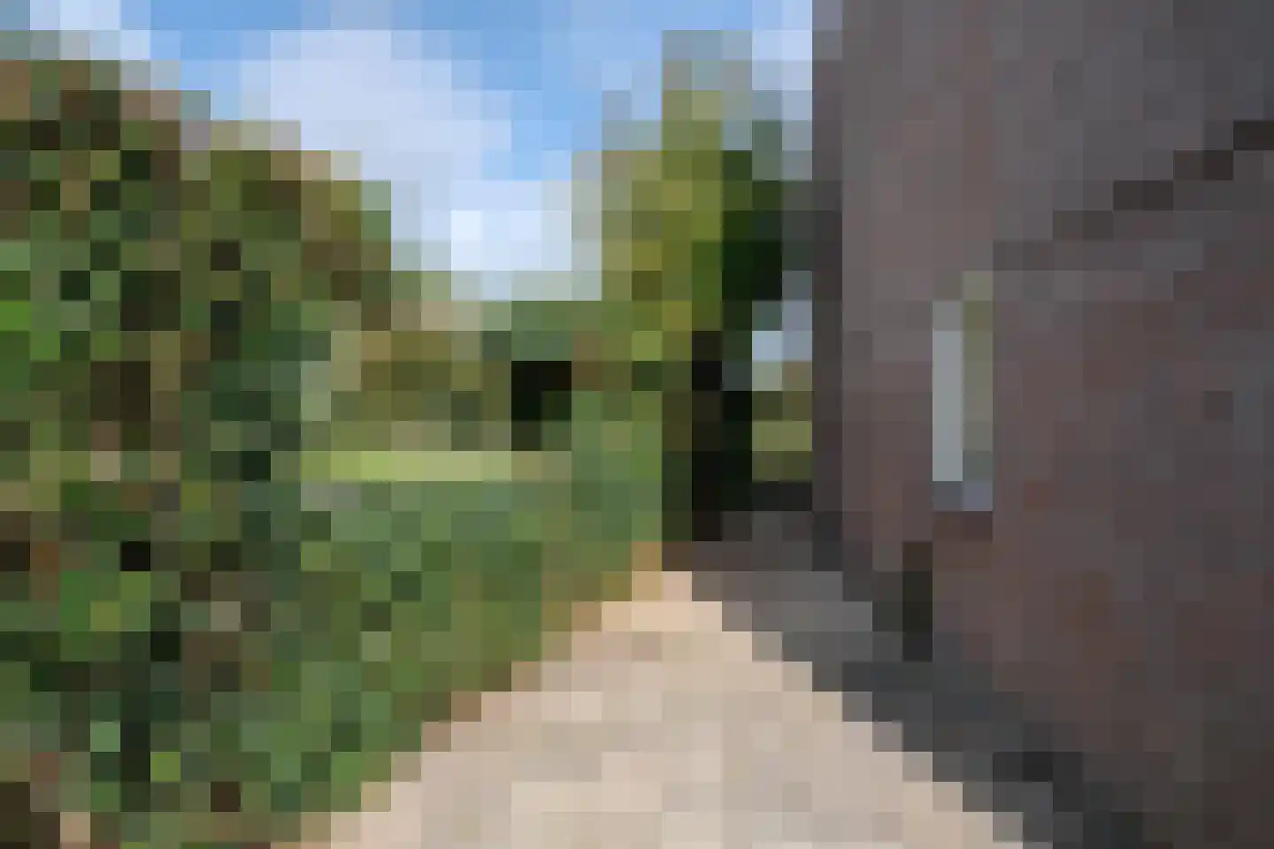 Beveland 67 Haarlem thumbnail 60