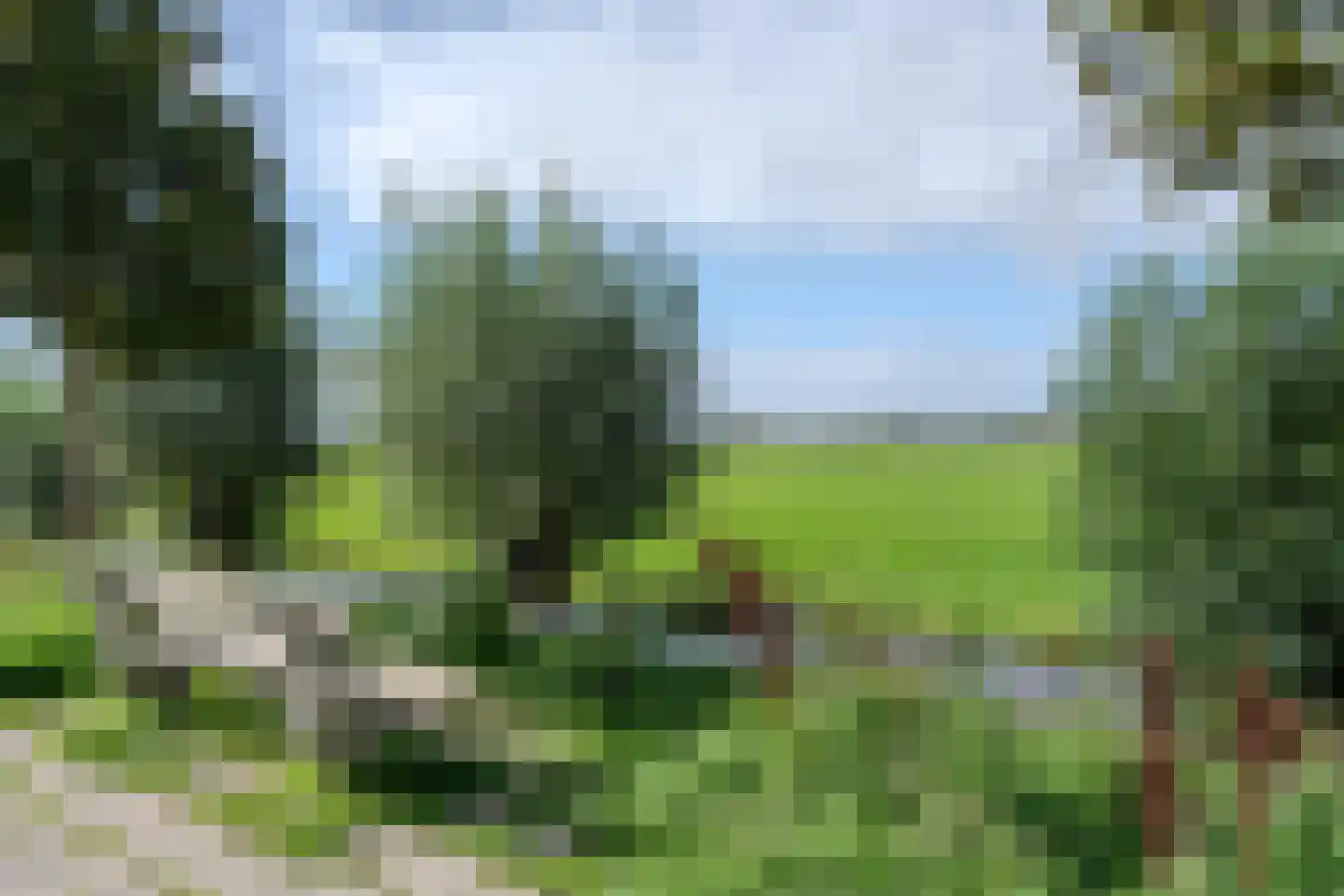 Beveland 67 Haarlem thumbnail 62