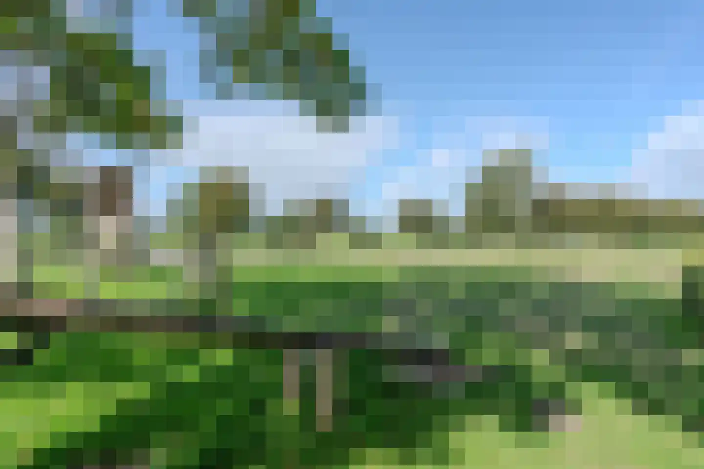 Beveland 67 Haarlem thumbnail 63