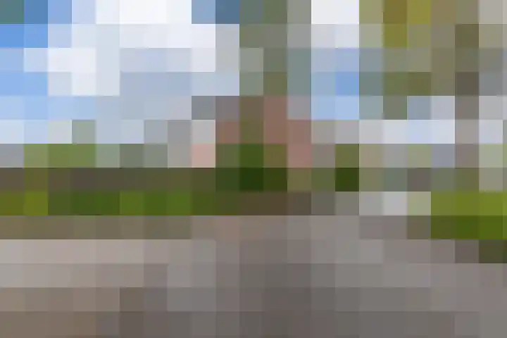 Beveland 98 Haarlem thumbnail 43
