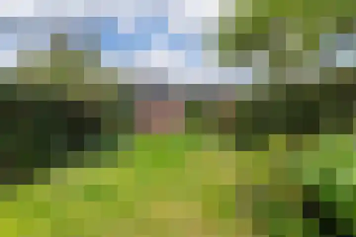 Beveland 98 Haarlem thumbnail 5