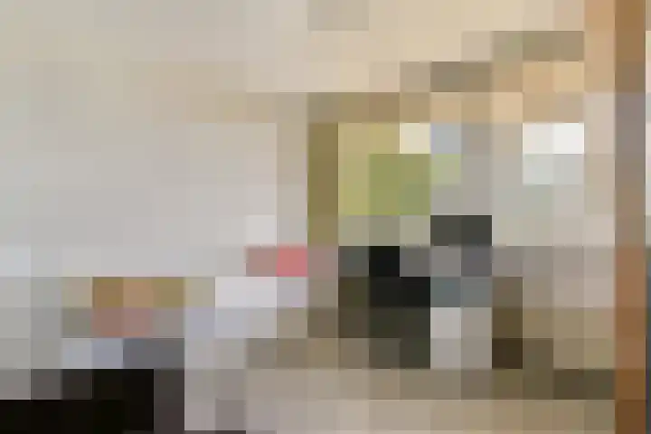 Bevelandselaan 111 Amstelveen thumbnail 19