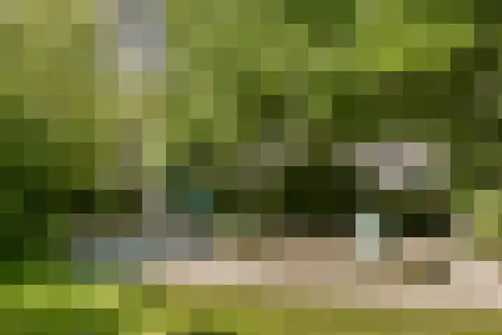Bevelandselaan 111 Amstelveen thumbnail 22