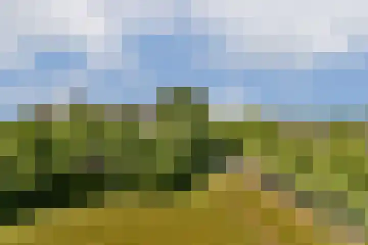 Bevelandselaan 111 Amstelveen thumbnail 4