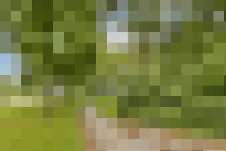 Bevelandselaan 113 Amstelveen thumbnail 22