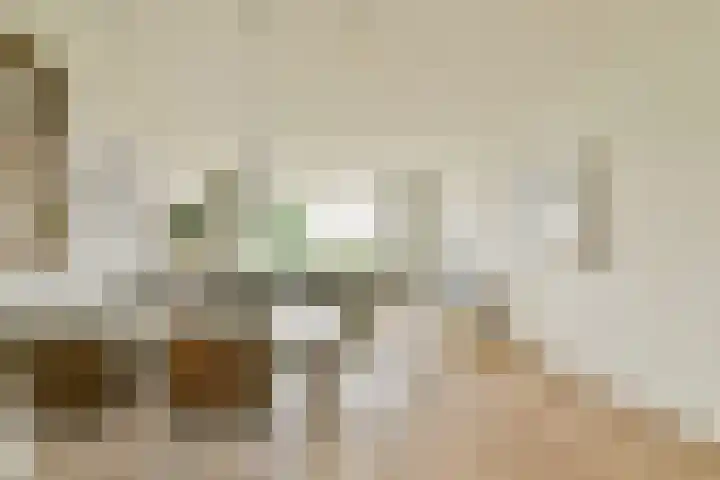 Bevelandselaan 113 Amstelveen thumbnail 4