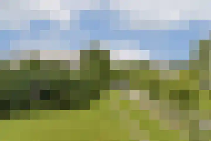 Bevelandselaan 113 Amstelveen thumbnail 9
