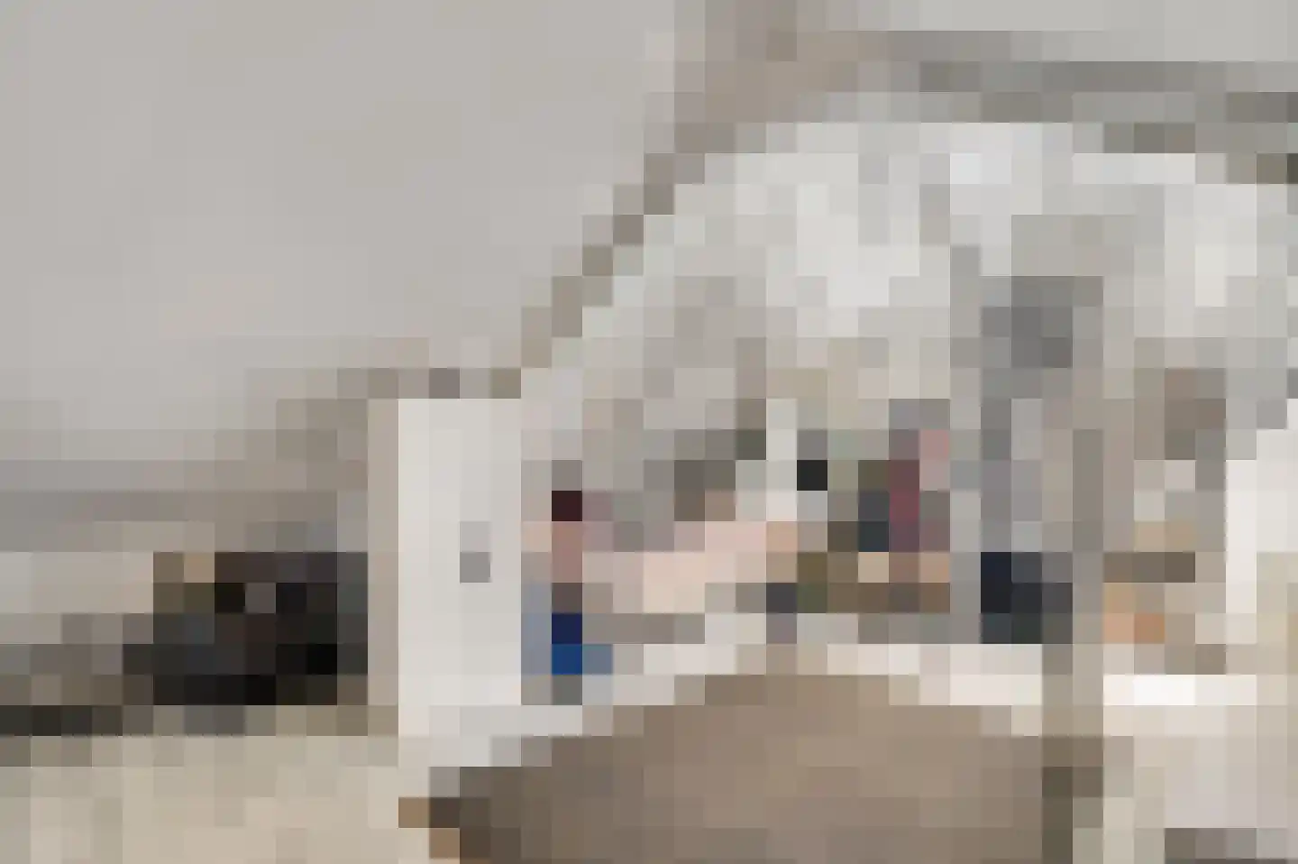 Bevelandselaan 26 Heythuysen thumbnail 20