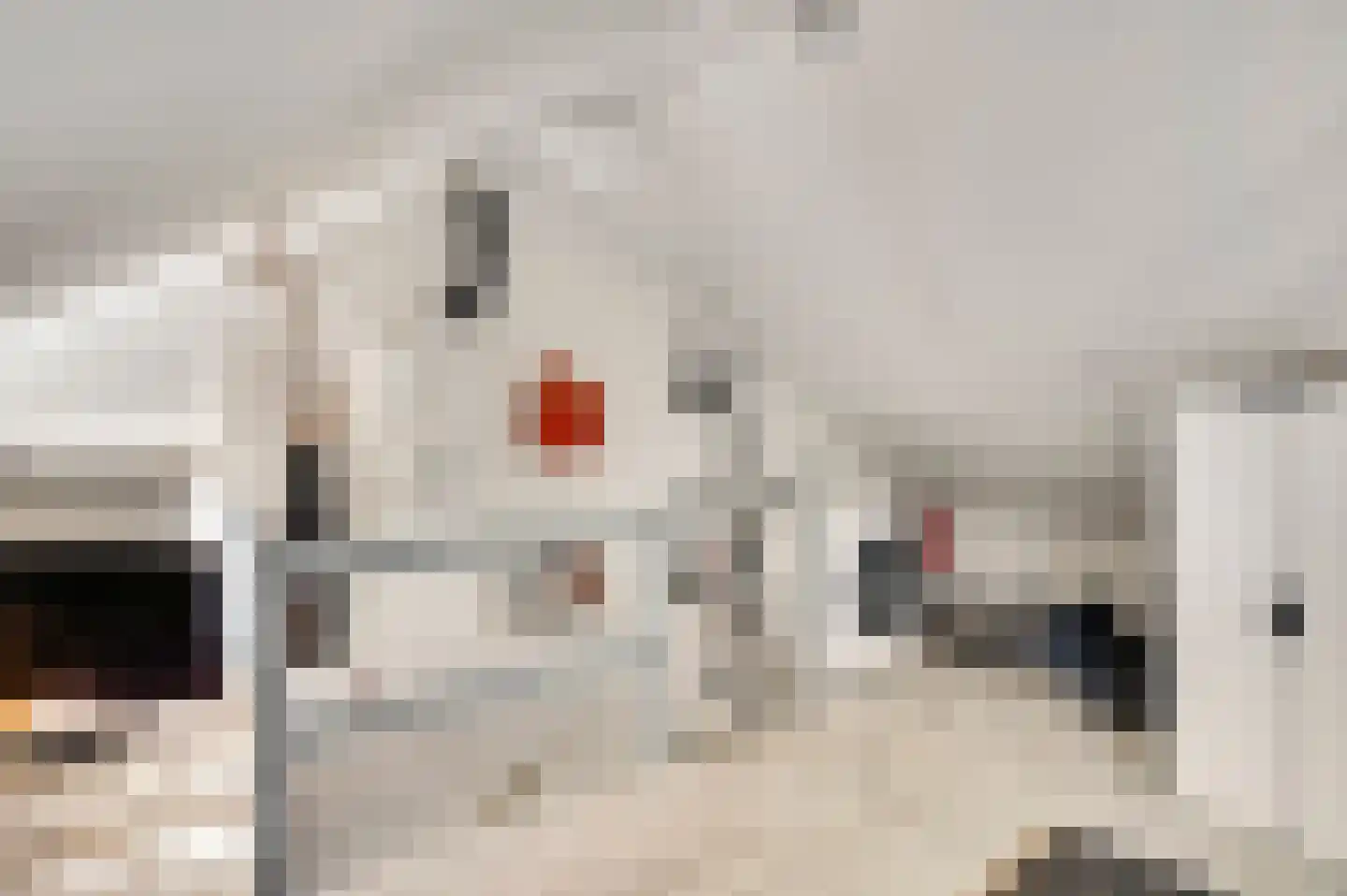Bevelandselaan 26 Heythuysen thumbnail 22