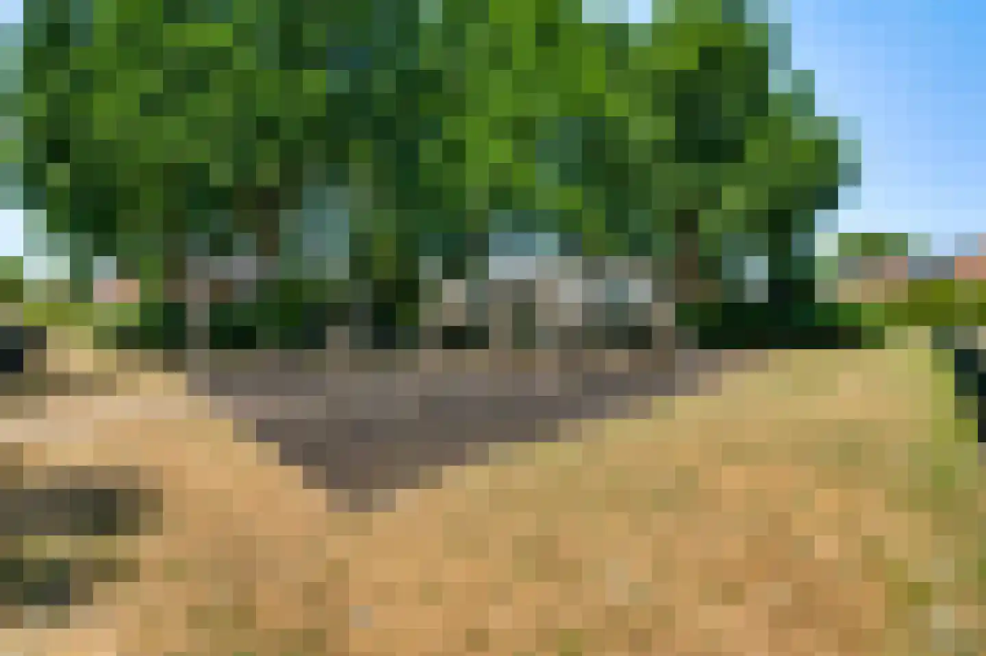 Bevelandselaan 26 Heythuysen thumbnail 35
