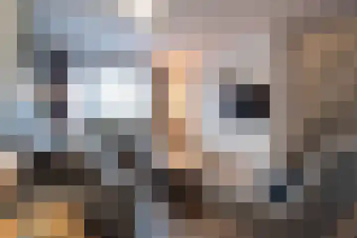 Bevelandselaan 28 Heythuysen thumbnail 10