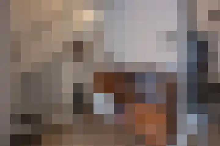 Bevelandselaan 28 Heythuysen thumbnail 14