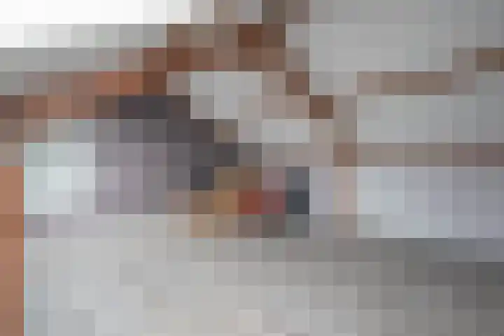 Bevelandselaan 28 Heythuysen thumbnail 25