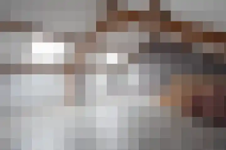 Bevelandselaan 28 Heythuysen thumbnail 26