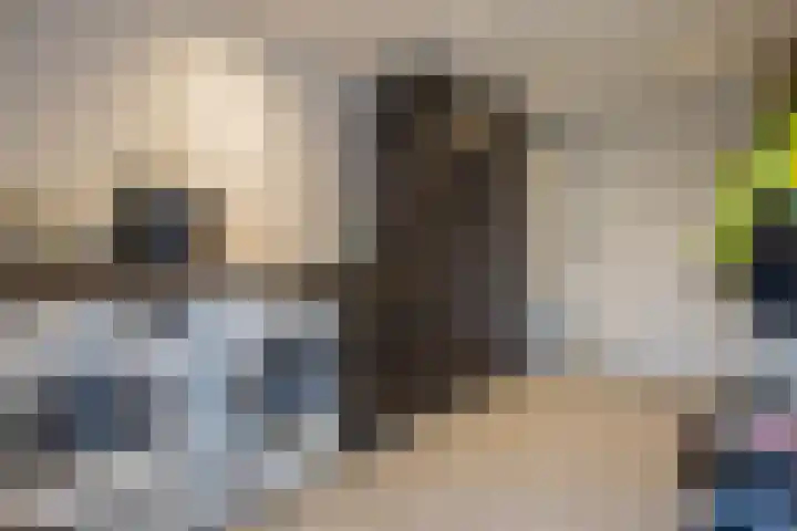 Bevelandselaan 28 Heythuysen thumbnail 27