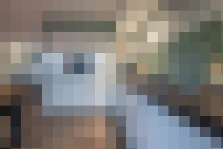 Bevelandselaan 28 Heythuysen thumbnail 4