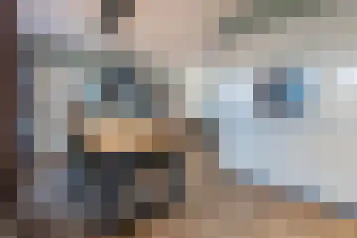 Bevelandselaan 28 Heythuysen thumbnail 6