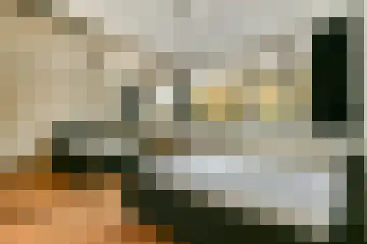 Bevelandselaan 41 Amstelveen thumbnail 13