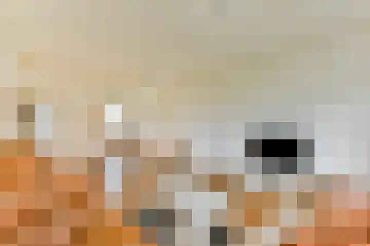 Bevelandselaan 41 Amstelveen thumbnail 6