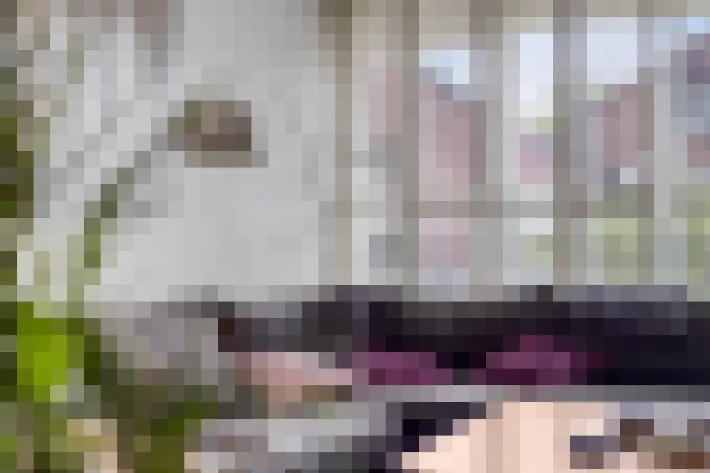 Bevelandselaan 7 Heythuysen thumbnail 11