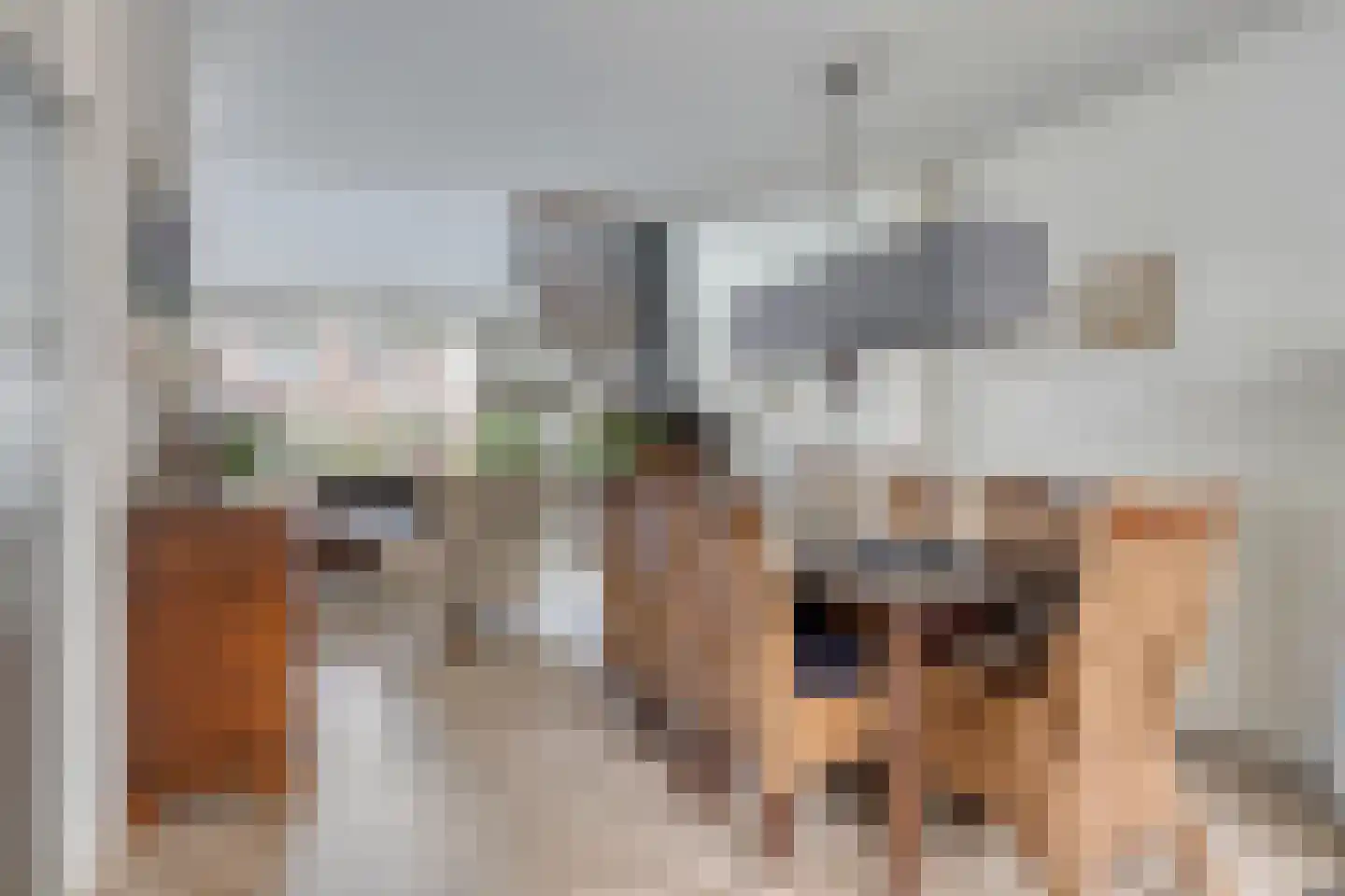 Bevelandselaan 7 Heythuysen thumbnail 14