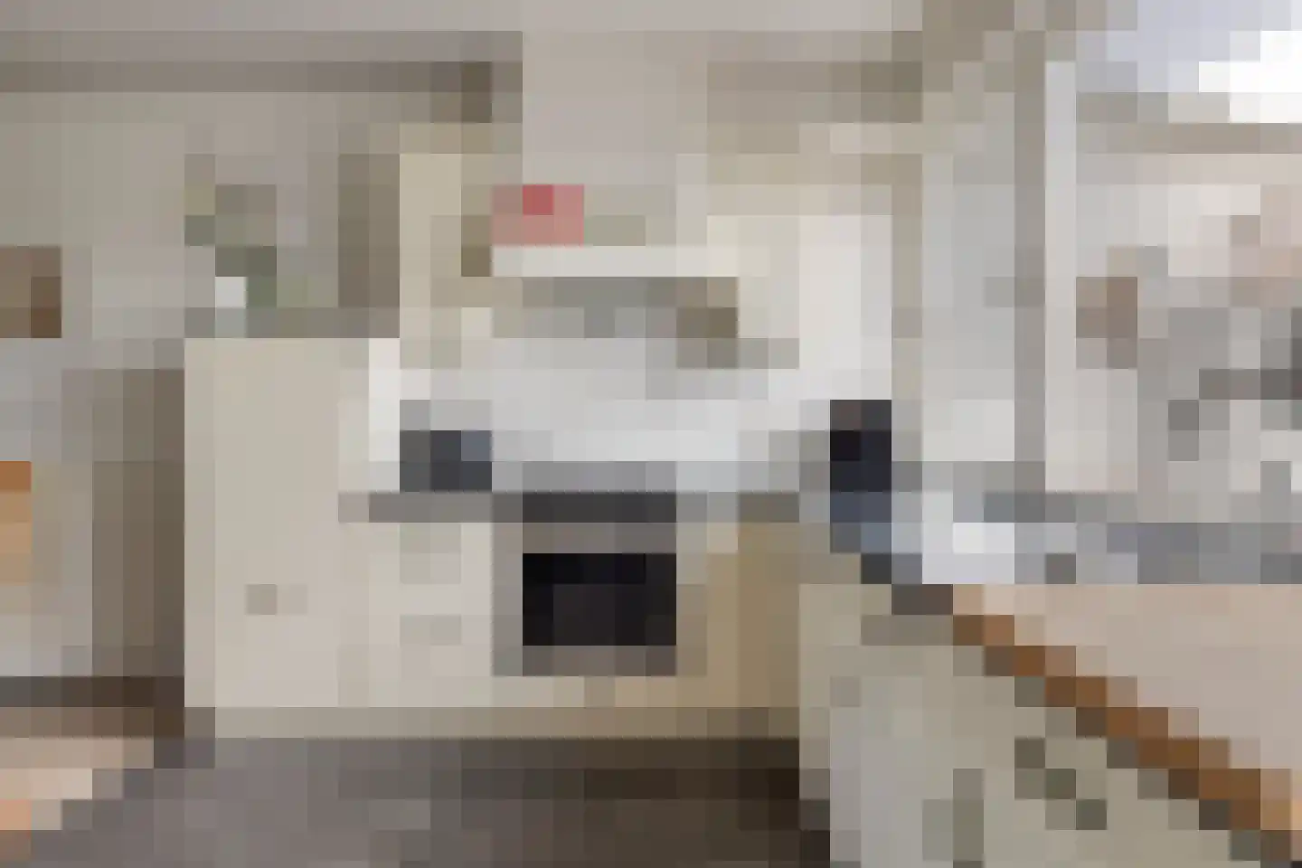 Bevelandselaan 7 Heythuysen thumbnail 16