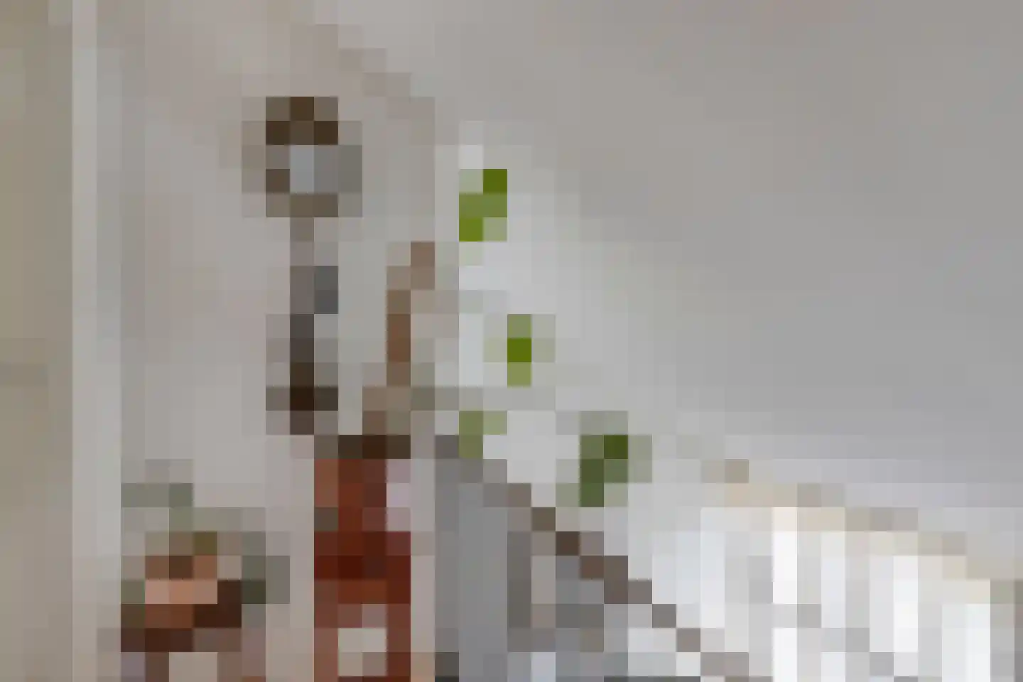 Bevelandselaan 7 Heythuysen thumbnail 24