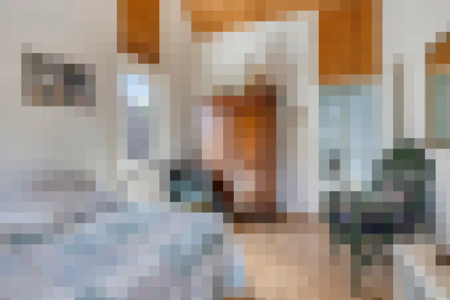 Bevelandselaan 7 Heythuysen thumbnail 26