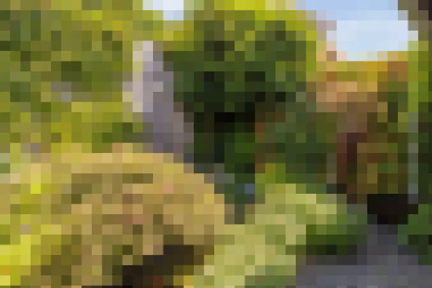 Bevelandselaan 7 Heythuysen thumbnail 33