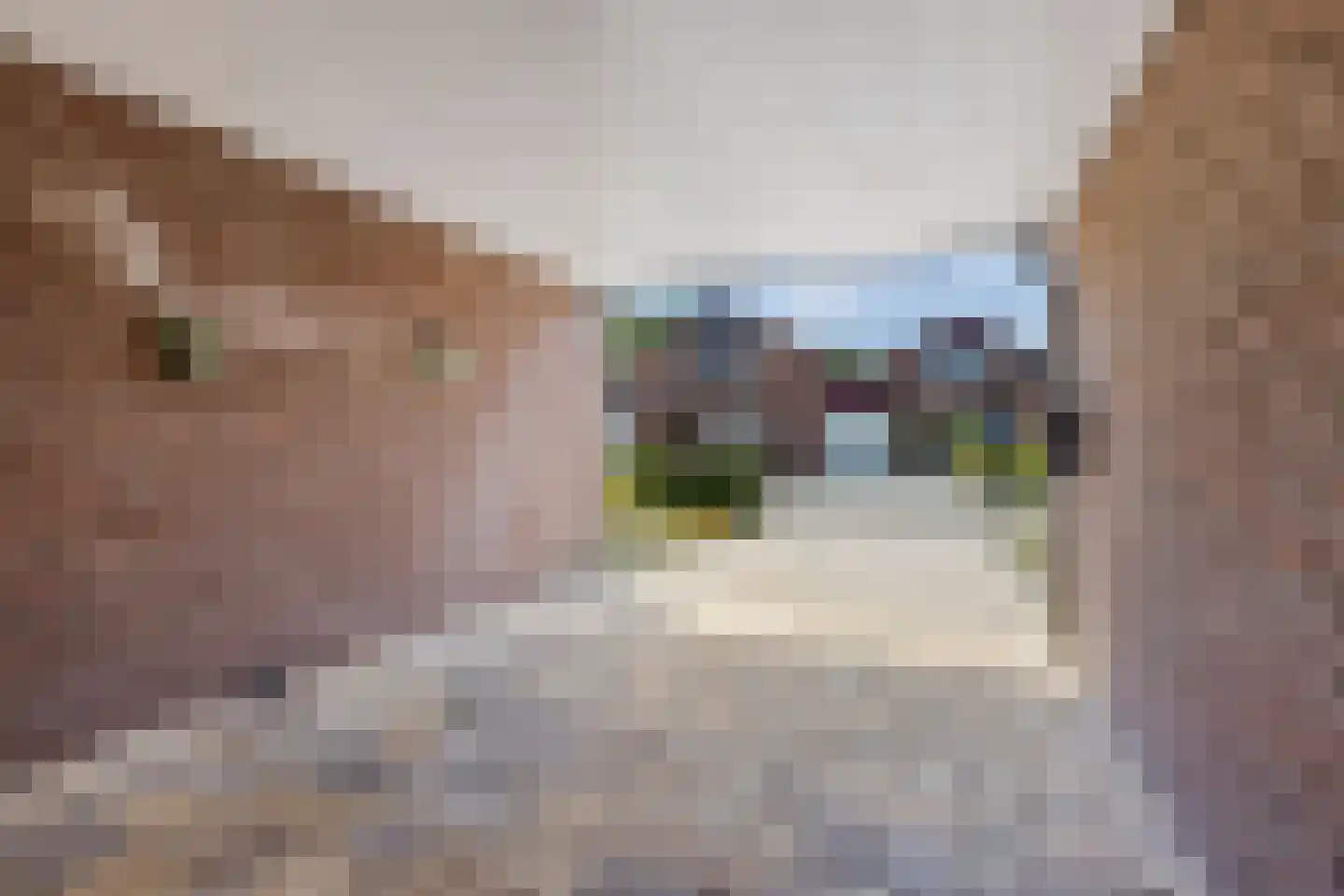 Bevelandselaan 7 Heythuysen thumbnail 4