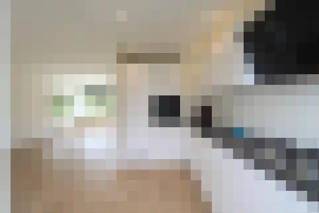 Bevelandselaan Amstelveen thumbnail 4