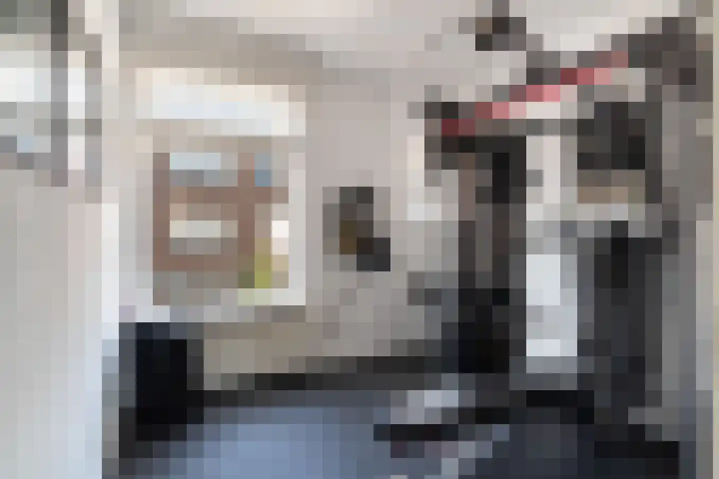 Bevelandsestraat 15 Den Haag thumbnail 18