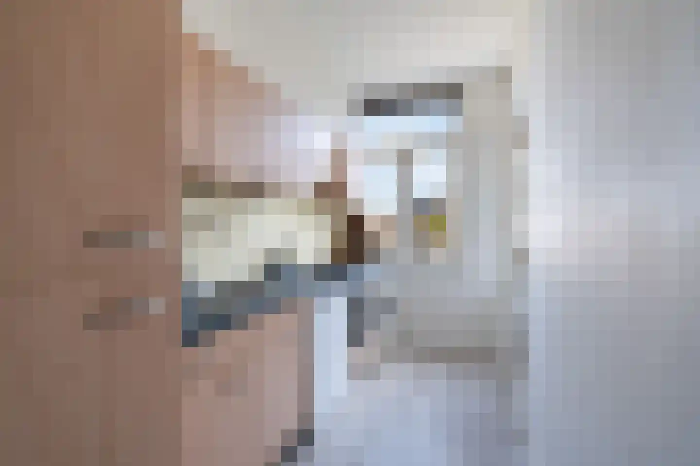 Bevelandsestraat 15 Den Haag thumbnail 9