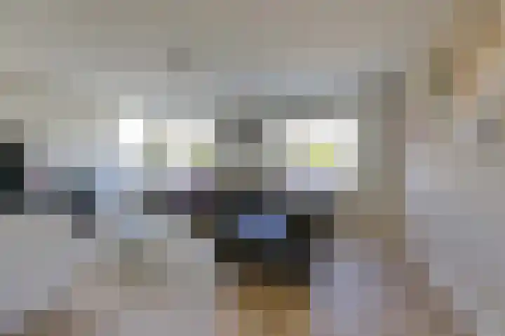 Bevelandstraat 11 Duiven thumbnail 11