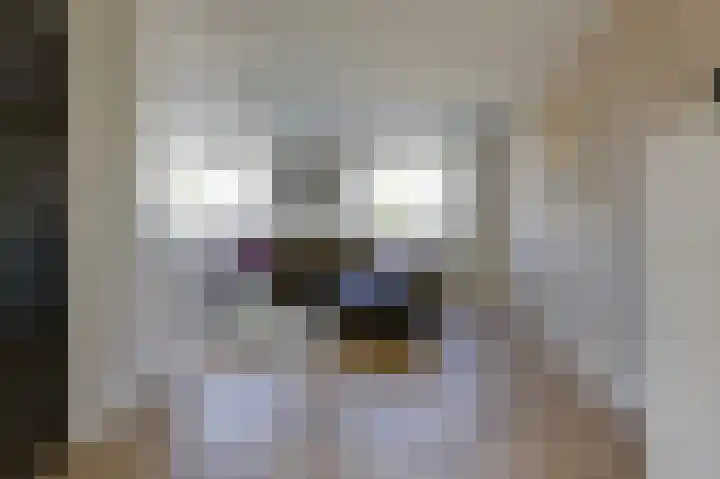 Bevelandstraat 11 Duiven thumbnail 12