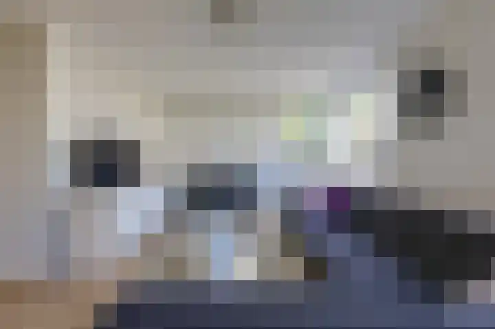 Bevelandstraat 11 Duiven thumbnail 15