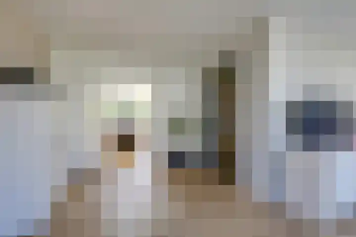 Bevelandstraat 11 Duiven thumbnail 16