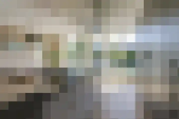 Bevelandstraat 11 Duiven thumbnail 22