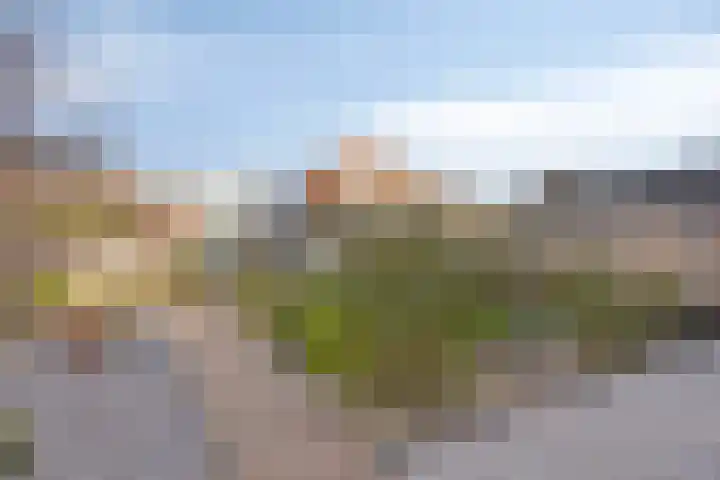 Bevelandstraat 11 Duiven thumbnail 38
