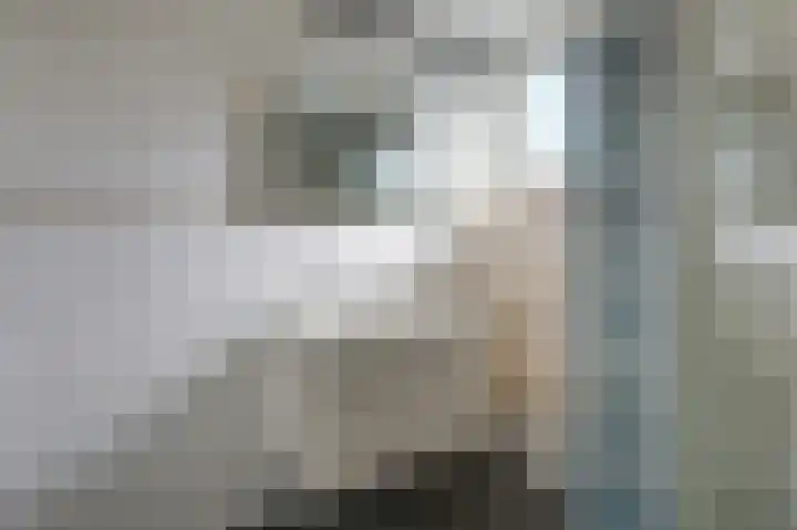 Bevelandstraat 11 Duiven thumbnail 41