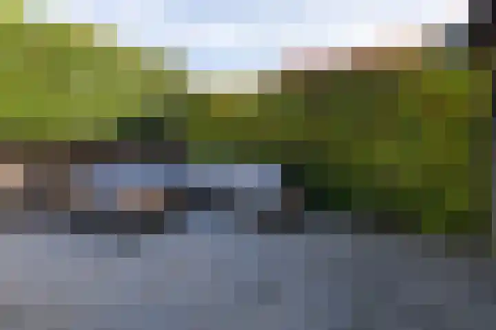 Bevelandstraat 11 Duiven thumbnail 51