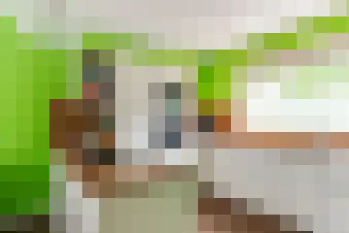 Bevelandstraat 14 Alkmaar thumbnail 11