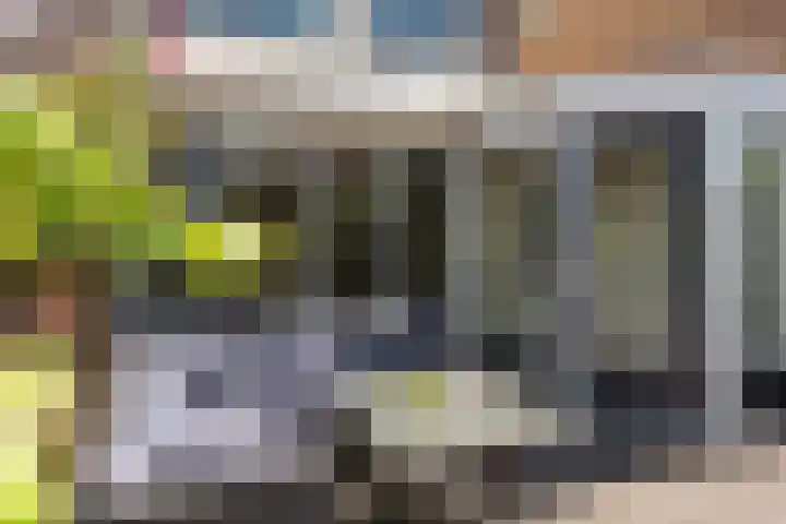 Bevelandstraat 14 Alkmaar thumbnail 30