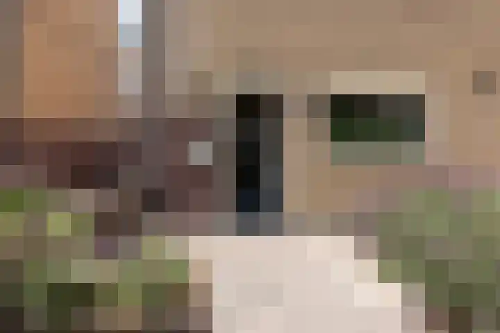 Bevelandstraat 14 Alkmaar thumbnail 34