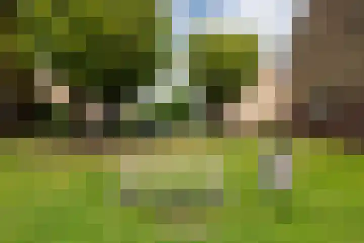 Bevelandstraat 14 Alkmaar thumbnail 36